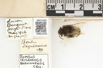 Media type: image;   Entomology 821250 Aspect: labels